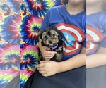 Image preview for Ad Listing. Nickname: Dalia
