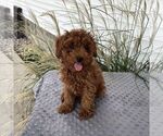 Image preview for Ad Listing. Nickname: Danny