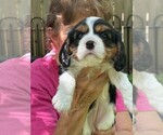 Image preview for Ad Listing. Nickname: mia