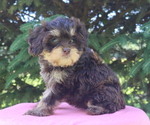 Image preview for Ad Listing. Nickname: Anya