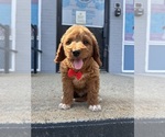 Image preview for Ad Listing. Nickname: Pluto