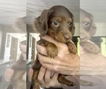 Image preview for Ad Listing. Nickname: Walker