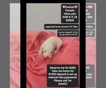 Image preview for Ad Listing. Nickname: Delilah