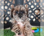 Image preview for Ad Listing. Nickname: Ember