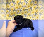 Image preview for Ad Listing. Nickname: Julie