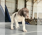 Image preview for Ad Listing. Nickname: Flash
