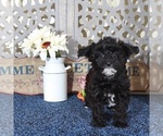 Image preview for Ad Listing. Nickname: Baby