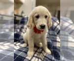 Image preview for Ad Listing. Nickname: Rock