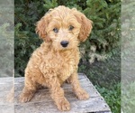 Image preview for Ad Listing. Nickname: Jewel