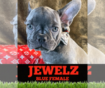 Image preview for Ad Listing. Nickname: JEWELZ BLUE