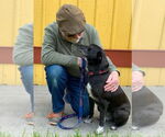 Small #1 Mutt