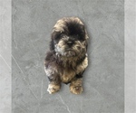Image preview for Ad Listing. Nickname: Merle