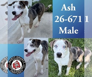Main medium Rescue Organization Photo