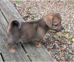 Small #2 Doxle