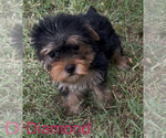 Image preview for Ad Listing. Nickname: Diamond