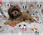 Image preview for Ad Listing. Nickname: Drake