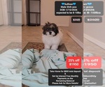 Image preview for Ad Listing. Nickname: Sullivan