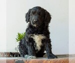 Image preview for Ad Listing. Nickname: Brandon