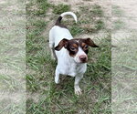Small #1 Jack Chi