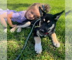 Small #11 Huskies  Mix