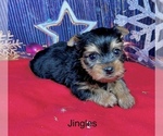 Image preview for Ad Listing. Nickname: Tcup Jingles