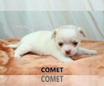 Image preview for Ad Listing. Nickname: Comet