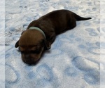 Image preview for Ad Listing. Nickname: Baby Blue