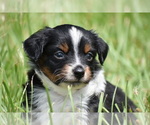Image preview for Ad Listing. Nickname: Col Mustardpant