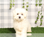Image preview for Ad Listing. Nickname: Tobias