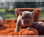 Image preview for Ad Listing. Nickname: Isa