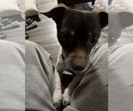 Small #2 Jack Chi