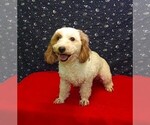 Image preview for Ad Listing. Nickname: Keisha
