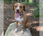 Small #3 Breeder Profile image