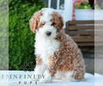 Image preview for Ad Listing. Nickname: Lexie