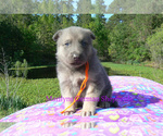 Image preview for Ad Listing. Nickname: Tangerine Coast