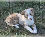 Image preview for Ad Listing. Nickname: Victory