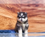 Image preview for Ad Listing. Nickname: Diamond