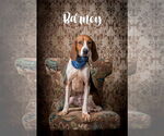 Small #2 Breeder Profile image