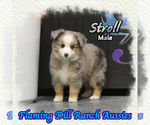 Image preview for Ad Listing. Nickname: Stroll