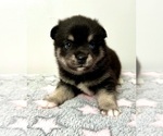Image preview for Ad Listing. Nickname: Cute Boy 1