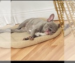 Image preview for Ad Listing. Nickname: Penny