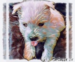 Small #13 West Highland White Terrier