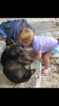 Small Photo #4 German Shepherd Dog Puppy For Sale in GLADE SPRING, VA, USA