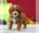 Image preview for Ad Listing. Nickname: Rachel