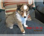 Image preview for Ad Listing. Nickname: Matt