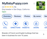 Small #6 French Bulldog