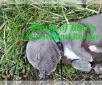 Image preview for Ad Listing. Nickname: Green Male