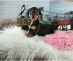 Image preview for Ad Listing. Nickname: Sylvias blk n