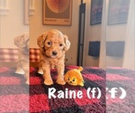 Image preview for Ad Listing. Nickname: Raine
