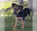 Small #16 Shollie